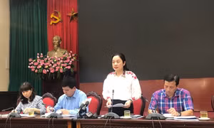 Nhiều hoạt động kỷ niệm 20 năm Hà Nội đón nhận danh hiệu 'Thành phố vì hoà bình'