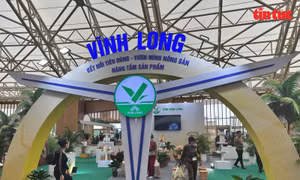 Cây dừa 'kể chuyện' xứ Vĩnh Long giữa Hội chợ Mùa Thu 2025 