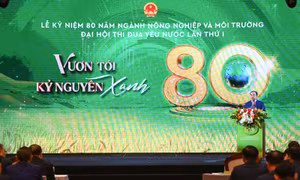 Ngành Nông nghiệp và Môi trường khẳng định vai trò chiến lược phát triển bền vững đất nước