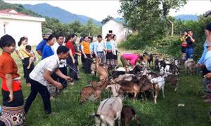 Tạo sinh kế giúp phụ nữ dân tộc thiểu số vươn lên thoát nghèo