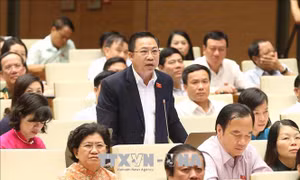 Phát huy quyền tự chủ của nhà trường trong quản trị và xây dựng thương hiệu