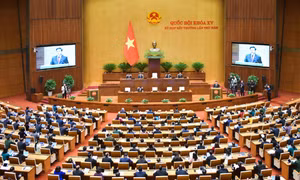  Quốc hội biểu quyết Luật Đất đai và Luật Các tổ chức tín dụng 