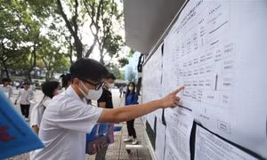 Những sai lầm khiến thí sinh trúng tuyển đại học sớm trượt oan 