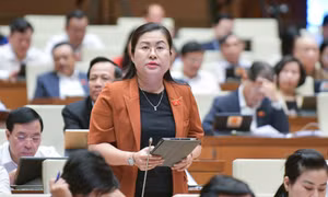 Bộ trưởng Bộ Giao thông vận tải: Vật liệu cát biển thí điểm đạt yêu cầu đắp đường