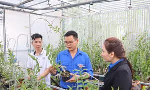 Hỗ trợ hiệu quả cho thanh niên khởi nghiệp - Bài cuối: Tạo dựng cộng đồng khởi nghiệp ở địa phương