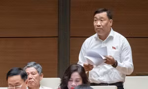 https://mediacms.baotintuc.vn/Upload/gYJXHsn6VBCJnSv7rj8xYQ/files/2025/11/Nhagiao/nga1.mp4