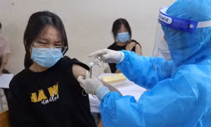 Lo ngại dịch bệnh, nhiều trường ở Hà Nội chưa cho học sinh đến trường ngày 6/12