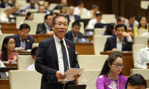 Đại biểu Quốc hội kỳ vọng tính liên tục giữa các nhiệm kỳ 