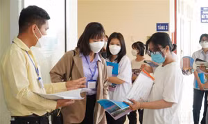Mỗi lĩnh vực tuyển sinh đại học không nhất thiết có kỳ thi riêng