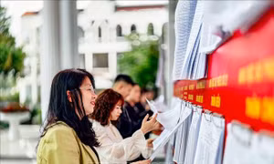 Những lưu ý về bầu cử theo mô hình chính quyền địa phương hai cấp