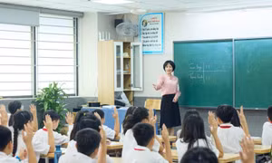 Tuyển sinh lớp 10: Bí quyết làm bài thi tiếng Anh đạt điểm tối ưu