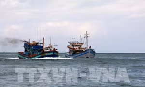 Thông tin tàu Hải Dương 19 đâm chìm tàu cá Bình Thuận trên vùng biển Bà Rịa-Vũng Tàu là không chính xác