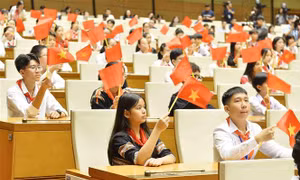 Thiếu nhi vào nghị trường ‘hiến kế’ giải pháp bảo vệ mình