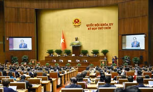 Sửa đổi Hiến pháp năm 2013 mở đường cho bộ máy hoạt động hiệu lực, hiệu quả