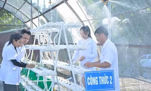 Địa phương cần giáo viên dạy tích hợp đào tạo bài bản