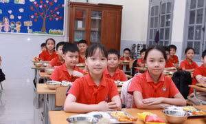 Tăng cường giám sát công khai bữa ăn bán trú học đường