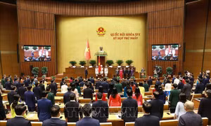 Dư luận Ấn Độ đánh giá cao sự ổn định chính trị của Việt Nam đối với khu vực