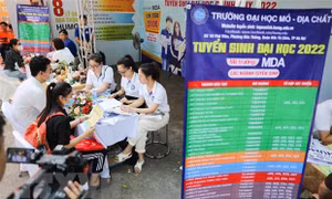 Dừng thi chứng chỉ IELTS, tuyển sinh đại học 2023 có ảnh hưởng không? 