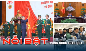 Nổi bật tuần qua: Tinh gọn bộ máy Chính phủ; Bộ Chính trị thi hành kỷ luật đảng viên vi phạm 