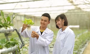 Gỡ ‘điểm nghẽn’ Nghị quyết 57 - Bài 2: Sẵn sàng nguồn nhân lực cao