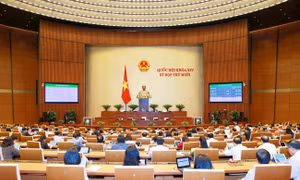 Kỳ họp thứ 10, Quốc hội khoá XIV: Nhiều ý kiến chất lượng, giải đáp sắc bén 