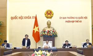 Ủy ban Thường vụ Quốc hội cho ý kiến 13 nội dung quan trọng