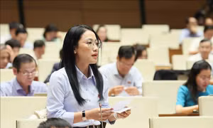 Hôm nay, Quốc hội thảo luận ở hội trường về 8 dự án luật 