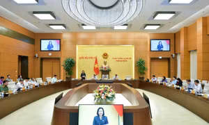 Luật Nhà giáo cần phải phù hợp với cải cách tiền lương