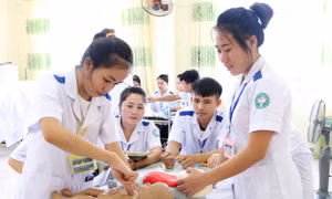 Bộ GD&ĐT thông tin môn Văn trong tuyển sinh y khoa