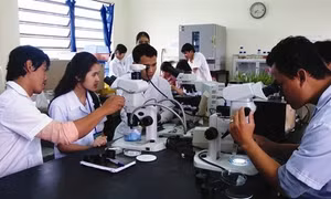 Không thể du di với chất lượng cử tuyển