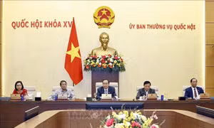 Cần kết nối thông tin đăng ký lao động với các dữ liệu khác