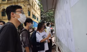 Hà Nội công bố điểm chuẩn vào lớp 10 THPT năm học 2022 - 2023 