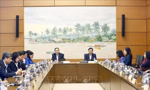 Quốc hội thảo luận tổ về phát triển KT-XH năm 2025 và một số cơ chế, chính sách đặc thù