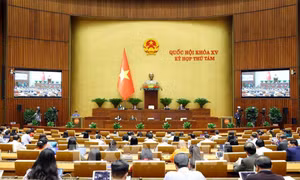 Để các thông điệp của Quốc hội, Chính phủ nhanh chóng đi vào cuộc sống