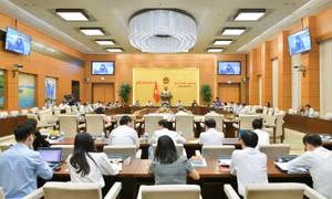 Đề xuất giảm án phạt với người phạm tội chưa thành niên 