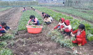 Trường học vùng khó khăn sáng tạo các hoạt động trải nghiệm