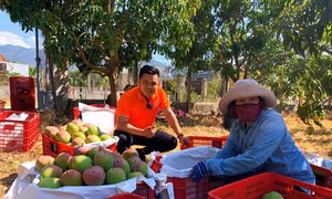 Hỗ trợ hiệu quả cho thanh niên khởi nghiệp - Bài 1: Những 'cú hích' cho khát vọng trẻ bứt phá