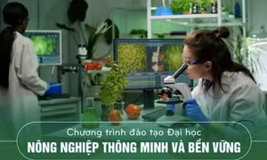 Trường đại học mở ngành mới đáp ứng nhu cầu sau dịch COVID-19 