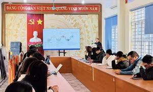 Quảng Ninh nghiên cứu dùng hệ thống do sinh viên công nghệ xây dựng