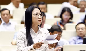 Luật Nhà giáo cần được làm rõ hơn theo hướng tôn vinh nhà giáo 