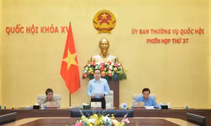 Khai mạc phiên họp thứ 37 của Ủy ban Thường vụ Quốc hội