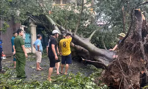 Ngày 9/9, nhiều tỉnh, thành phố vẫn cho học sinh nghỉ học vì ảnh hưởng bão số 3