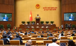 Đẩy nhanh tiến độ xây dựng Cảng hàng không quốc tế Long Thành giai đoạn 2