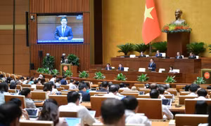 Đại biểu Quốc hội: Cần có chính sách với những doanh nghiệp khó khăn