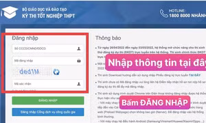 Chi tiết các bước đăng ký xét tuyển nguyện vọng đại học trực tuyến