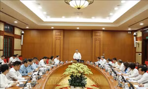 Khi thể chế trở thành bệ phóng cho hành động
