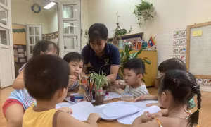 Chất lượng đội ngũ và lương giáo viên mầm non chưa tương xứng với công việc 