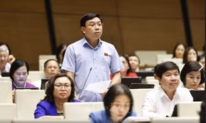 Học sinh tự nguyện học thêm sẽ giải quyết thế nào