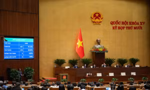 Học sinh sẽ được miễn phí sách giáo khoa từ năm 2026 