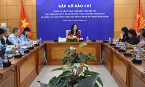 Phát huy nguồn lực kiều bào để xây dựng đất nước
